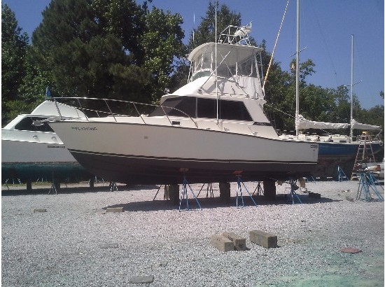 1980 Bertram Fishing boat