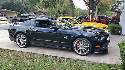 Ford : Mustang Shelby GT500 Super Snake 2010 ford mustang shelby gt 500 super snake