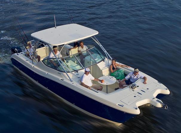 World Cat 290 Dc Boats For Sale In Florida