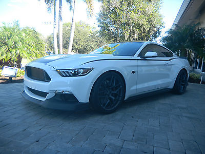 2017 Ford Mustang GT Premium Coupe 2-Door 2017 FORD MUSTANG RTR SPECIAL VAUGHN GITTIN JR SIGNED #024 MADE WHITE AND BLACK