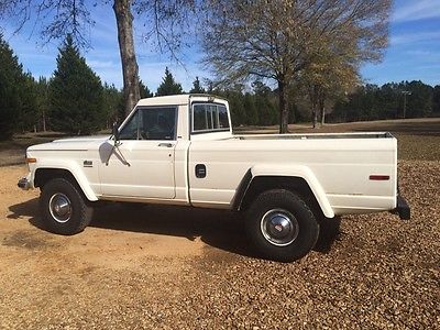 Jeep : Other 1983 jeep j 10