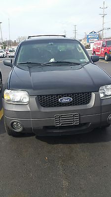 2006 Ford Escape XLT Sport Utility 4-Door 2006 ford escape xlt sport utility 4 door 3.0 l