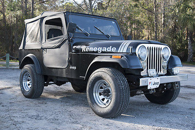 1984 Jeep Other Renegade Sport Utility 2-Door 1984 Jeep CJ7 Renegade Sport Utility 2-Door 4.2L