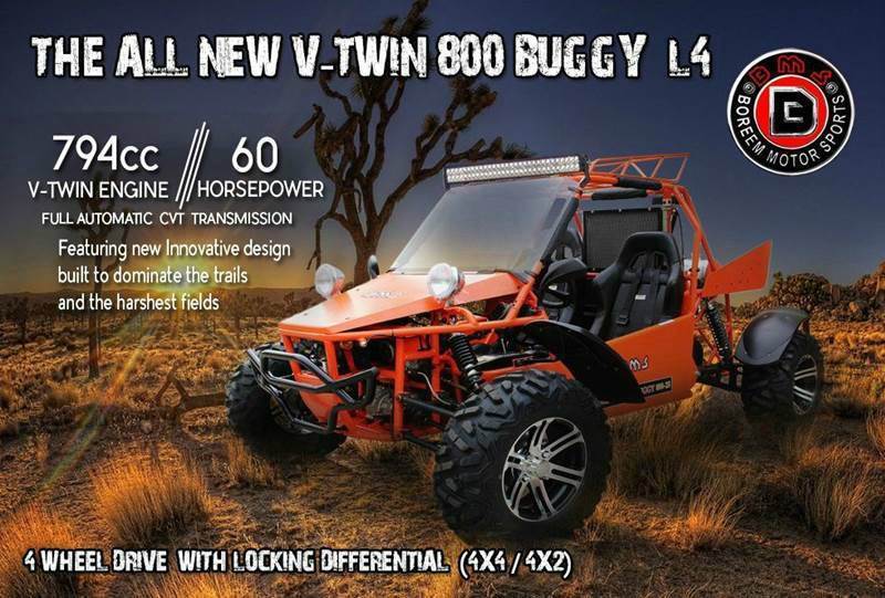 2016 BMS V Twin 800 Buggy