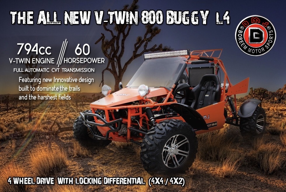 2016 BMS V-Twin 800 Buggy L4