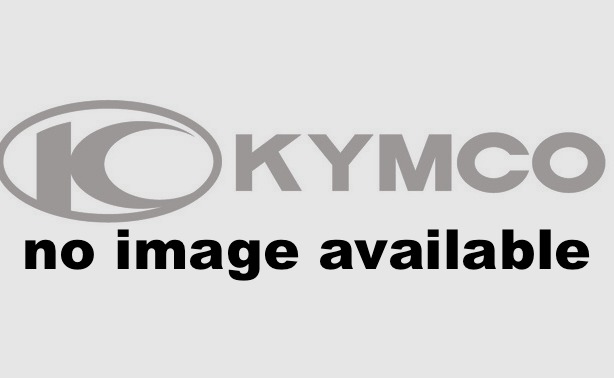 2016 Kymco Mongoose 90S