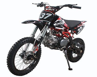 Other Makes New Apollo Dirt Bike 125cc Big Size with 17