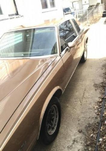 1981 Monte Carlo Cars for sale