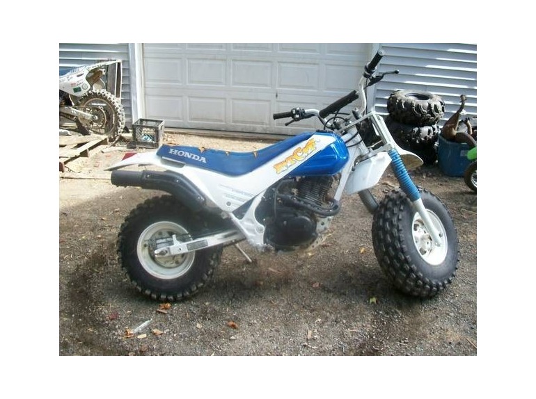fat cat dirt bike for sale