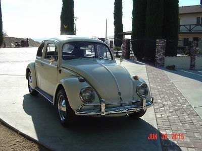Volkswagen : Beetle - Classic sunroof 1964 vw sunroof bug