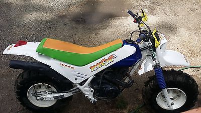 fat cat dirt bike for sale