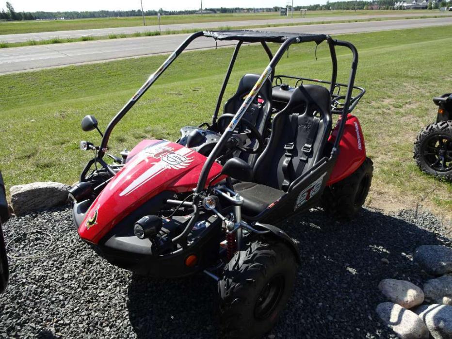 hammerhead buggy for sale