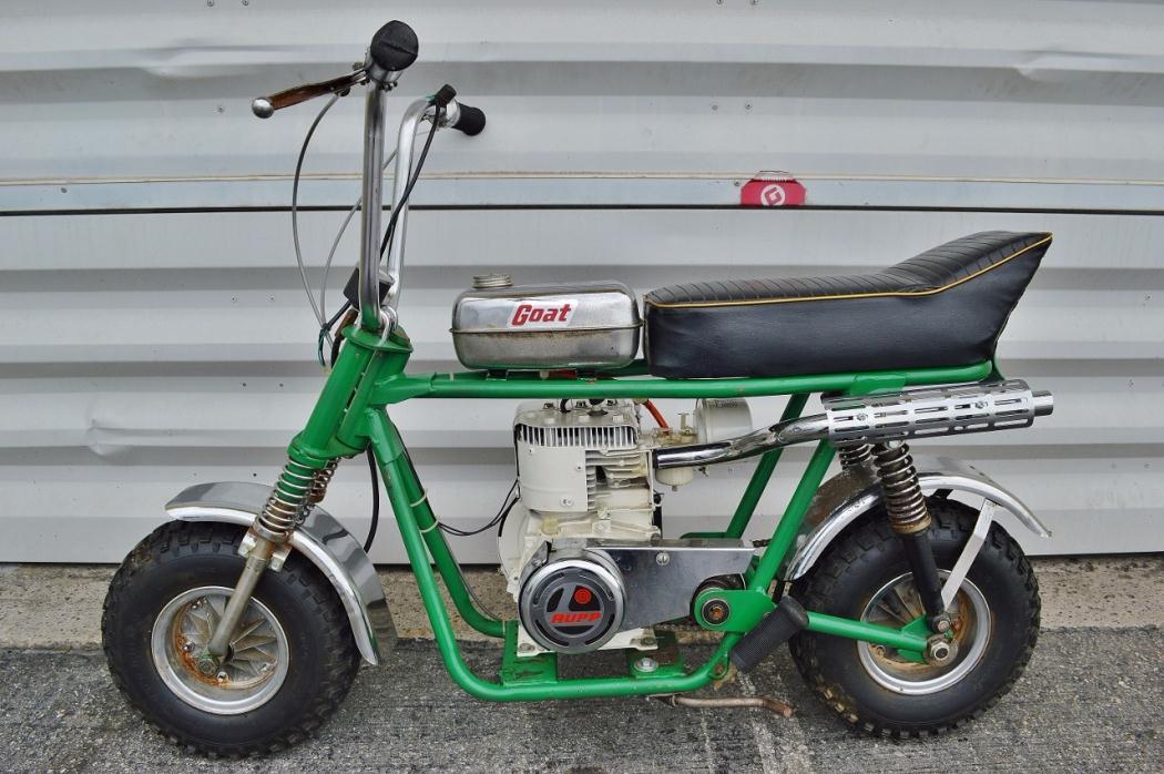 rupp mini bike for sale