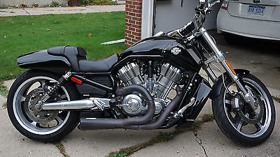 harley davidson v rod muscle for sale