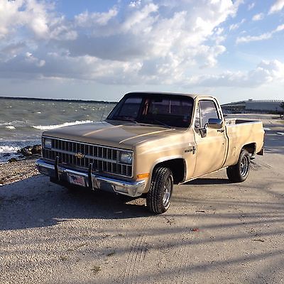 Chevrolet : Other Pickups 1982 chevy c 10 shortbed pickup