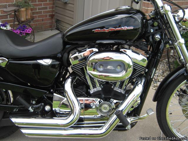 hd sportster for sale