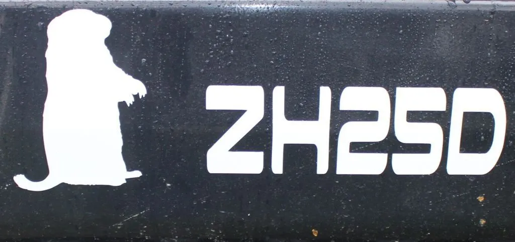 2022 GROUNDHOG ZH25D