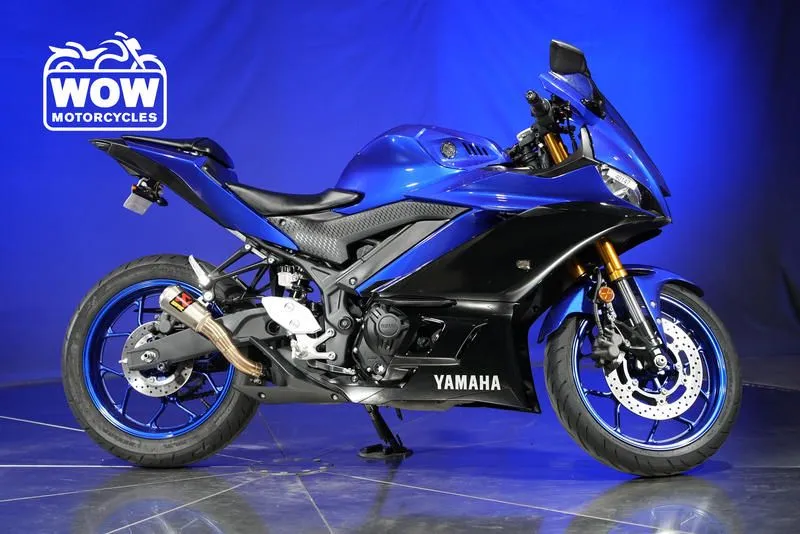 2019 Yamaha YZF-R3 YZFR3 YZF R3 300