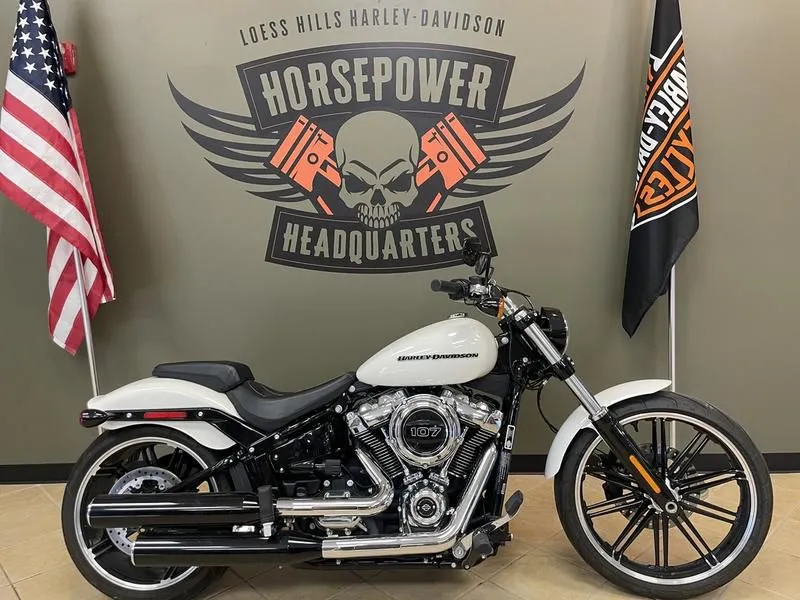 2019 Harley-Davidson FXBR - Softail Breakout