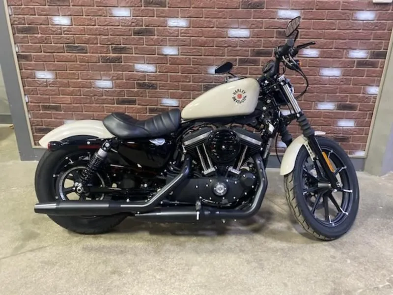 2022 Harley-Davidson XL883N - Iron 883