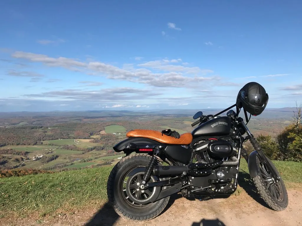 2013 Harley-Davidson XL883N - Sportster Iron 883