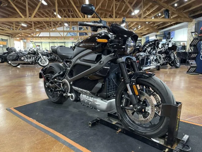 2020 Harley-Davidson ELW - LiveWire