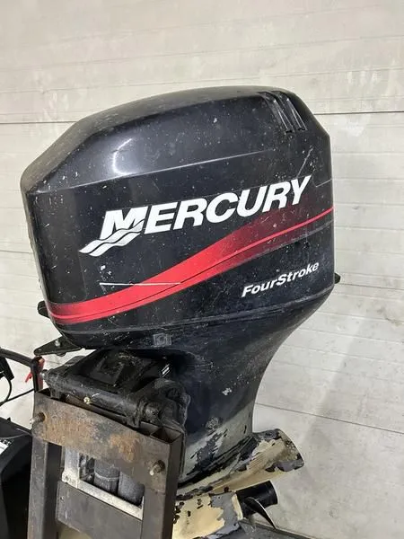 2001 Mercury ELPT60