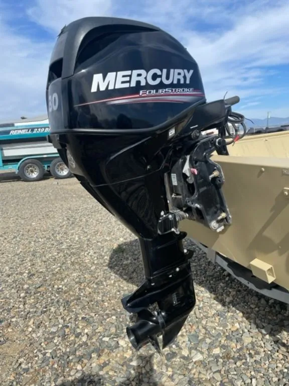 2019 Mercury Marine 30ELHGA FourStroke
