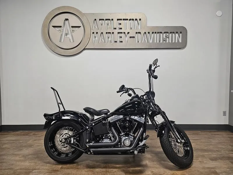 2009 Harley-Davidson FLSTSB - Cross Bones