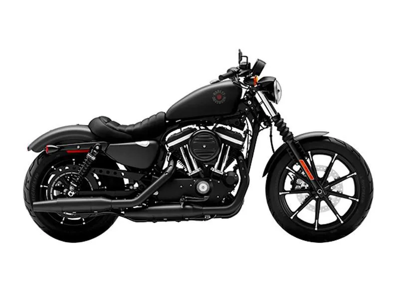 2022 Harley-Davidson XL883N - Iron 883