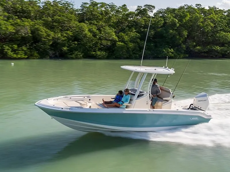 2024 Boston Whaler 250 Dauntless