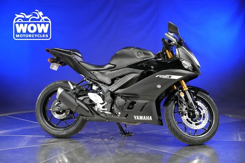 2019 Yamaha YZF-R3 R3 300