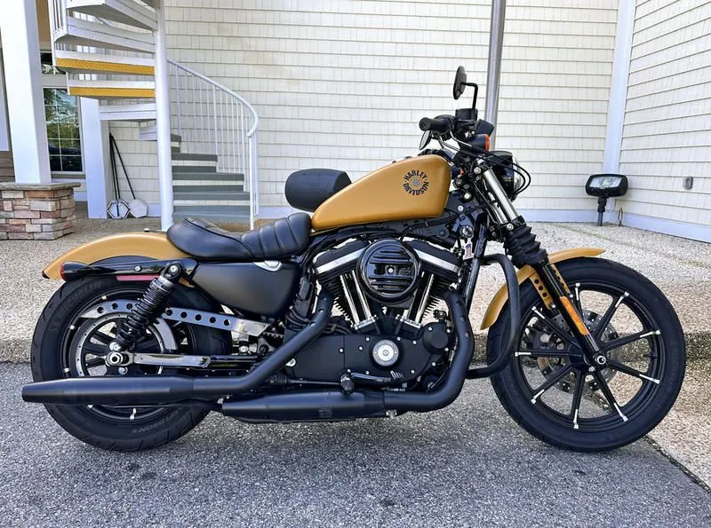 2019 Harley-Davidson XL 883N - Sportster Iron 883
