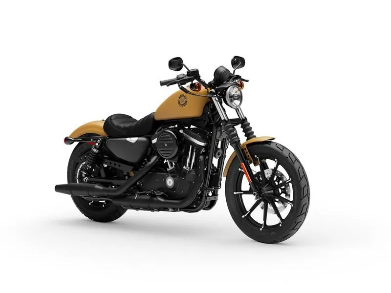 2019 Harley-Davidson XL 883N - Sportster Iron 883