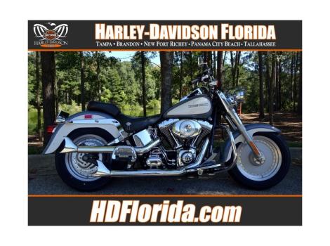 2002 Harley-Davidson FLSTF FAT BOY