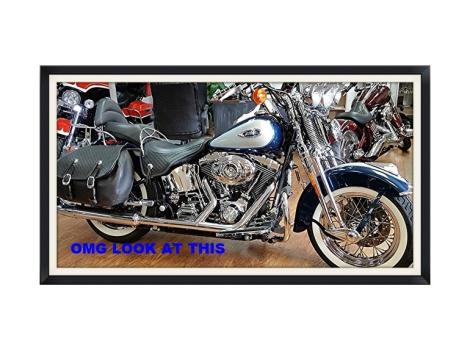 2001 Harley Davidson Heritage Softail Springer