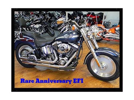 2003 Harley Davidson Fat Boy 100 Anniversary