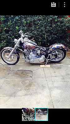 Other Makes : Special Construction Softail Custom Cruiser   1998 special construction softail custom cruiser motorcycle s s 40 th anniversary