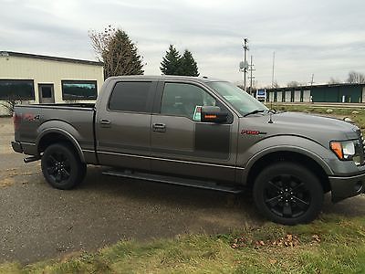 Ford : F-150 LX4 W APPEARANCE PACKAGE 2012 ford f 150 fx 4 crew cab pickup 4 door 3.5 l