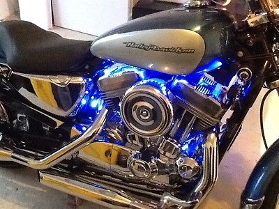 Harley-Davidson : Sportster NEW ENGINE HARLEY DAVIDSON SPORTSTER CUSTOM