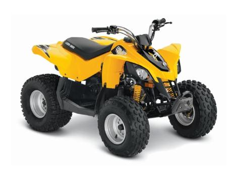 2015 Can-Am DS90