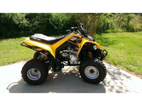 2013 Can-Am Ds 250