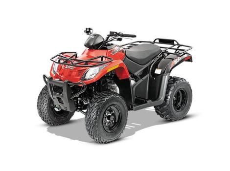 2014 Arctic Cat 300