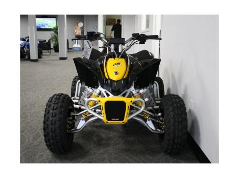 2015 Can-Am DS90X