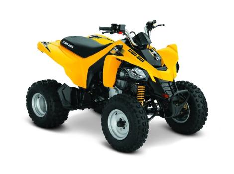 2014 Can-Am DS-250