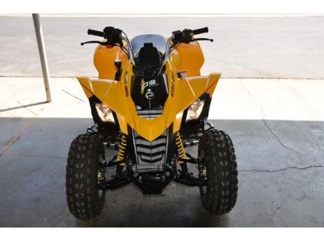 2014 Can-Am Ds 250