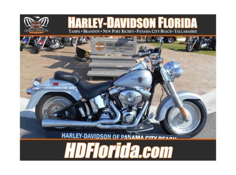 2002 Harley-Davidson FLSTF SOFTAIL FAT BOY