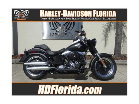 2015 Harley-Davidson FLSTFB FAT BOY LO