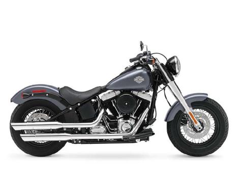 2015 Harley-Davidson Slim FLS