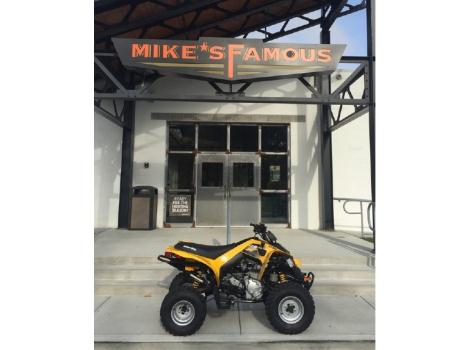 2014 Can-Am DS 250